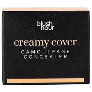 Creamy Cover Camouflage Concealer 